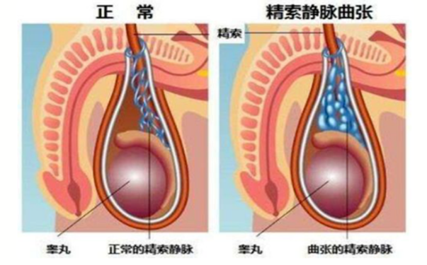 微信截图_20210402160023.png