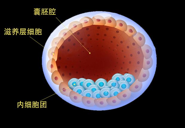 微信截图_20210407154329.png