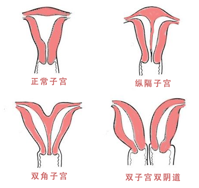 微信截图_20210525160343.png