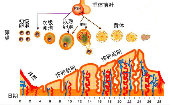 微信截图_20210609135754.png